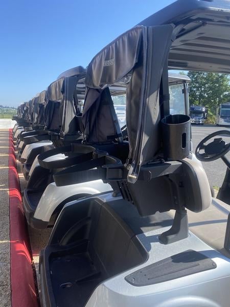 2019 E-Z-GO RXV® Electric Photo in Staunton VA 24401